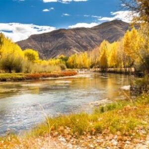 RIVER|5 D DIAMOND PAINTING