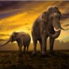 ELEPHANT & BABY | 5 D Diamond Painting