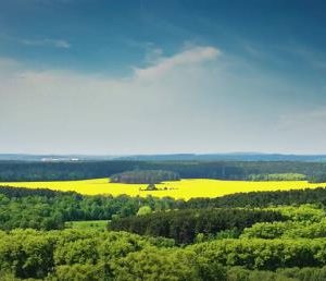 LANDSCAPE|5 D DIAMOND PAINTING