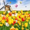 TULIPS|5 D DIAMOND PAINTING