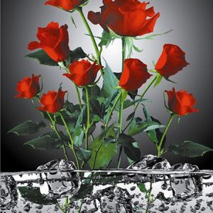 RED ROSES IN WATER|5 D DIAMOND PAINTING