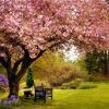 TREE BLOOMING|5 D DIAMOND PAINTING