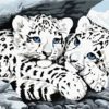 WHITE BABY TIGERS | 5 D Diamond Painting