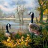 GOOSE ON LAKE | 5 D Diamond Painting