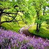 COUNTRY ROAD|5 D DIAMOND PAINTING