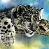 BABY TIGER | 5 D Diamond Painting