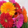COLOURFUL FLOWERS|5 D DIAMOND PAINTING