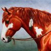 BROWN HORSE | 5 D Diamond Painting
