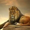 LION ON ROCK | 5 D Diamond Painting