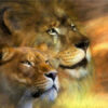 LION COUPLE | 5 D Diamond Painting