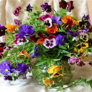 FLOWERS|5 D DIAMOND PAINTING
