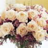 WHITE ROSE|5 D DIAMOND PAINTING