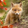 LITTLE FOX|5 D DIAMOND PAINTING