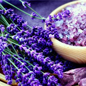 LAVENDER|5 D DIAMOND PAINTING