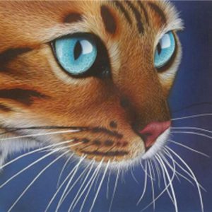 Create Beautiful Art with CAT STARE 5D Diamond Painting