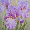 PURPLE FLOWER|5 D DIAMOND PAINTING