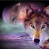WOLF & THE MOON|5 D DIAMOND PAINTING